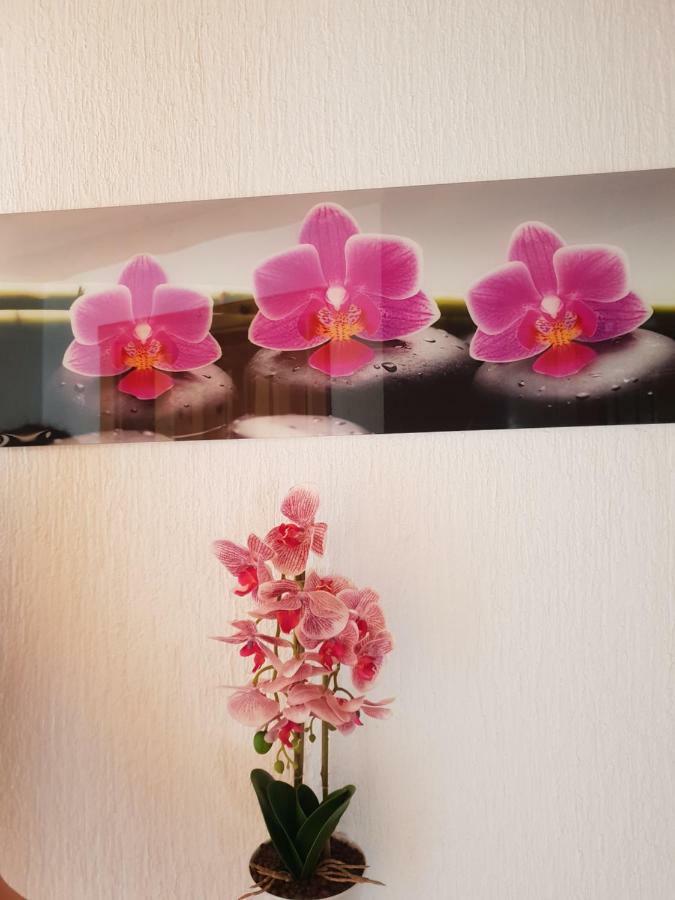 Plitvička Jezera Guest House Plitvice Waterfall מראה חיצוני תמונה
